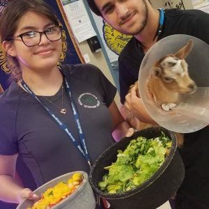 Meet your Posher, Hg